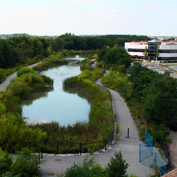 Container Corp Nature Sanctuary